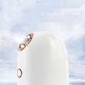 Beauty Facial Steamer